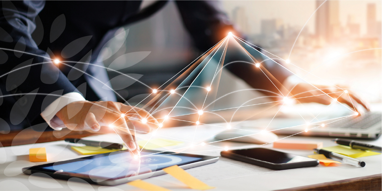 MSB - Mediterranean school of business - Private university in Tunisia